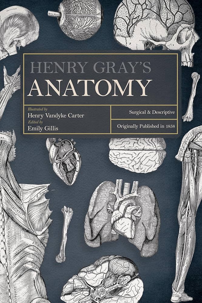 Gray's Anatomy 第39版 Gray's Anatomy 第39版 Gray's Anatomy: (Descriptive and